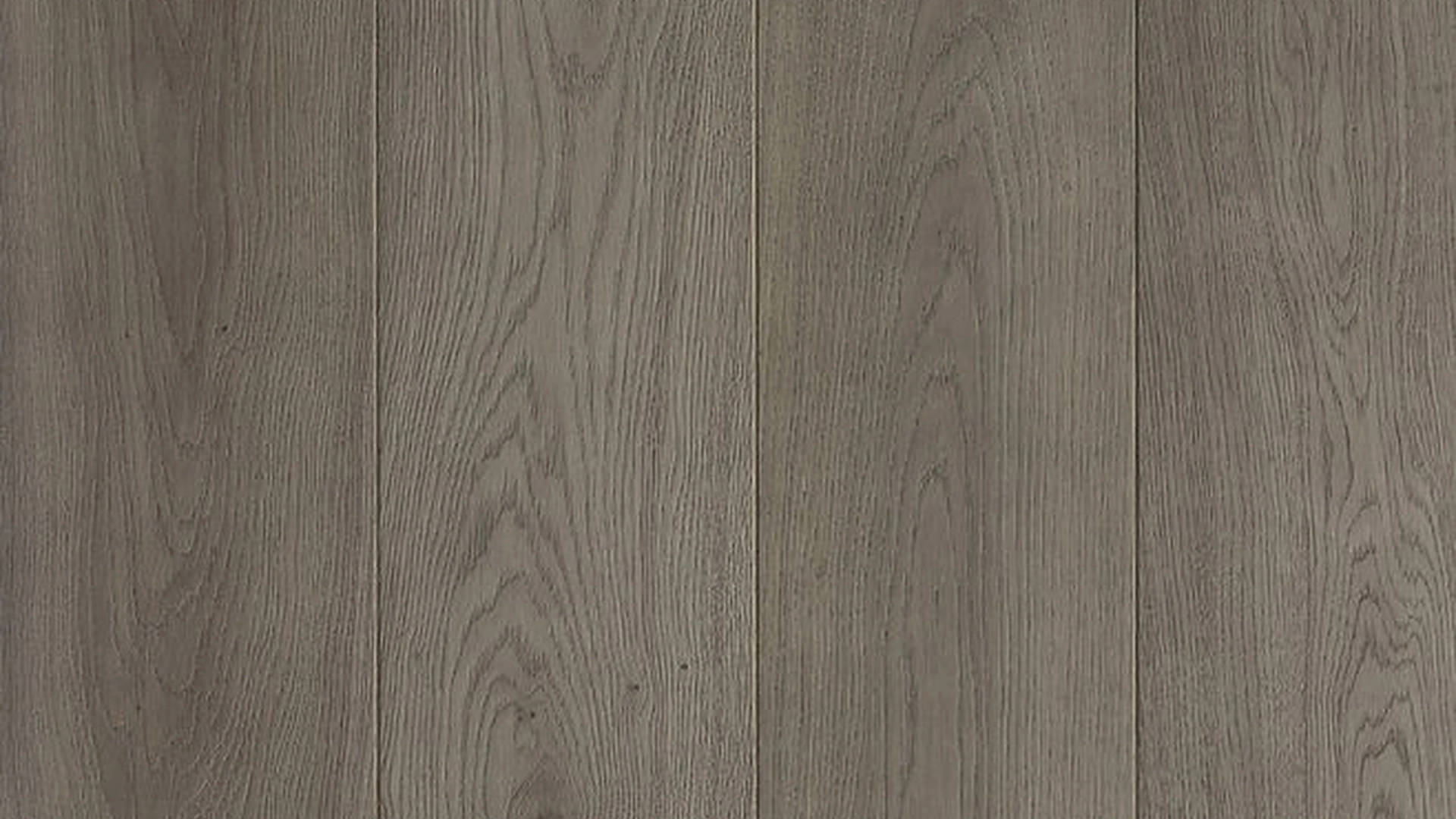 Parquet Floor Assiti Cenere in essenza rovere di Giacobazzi